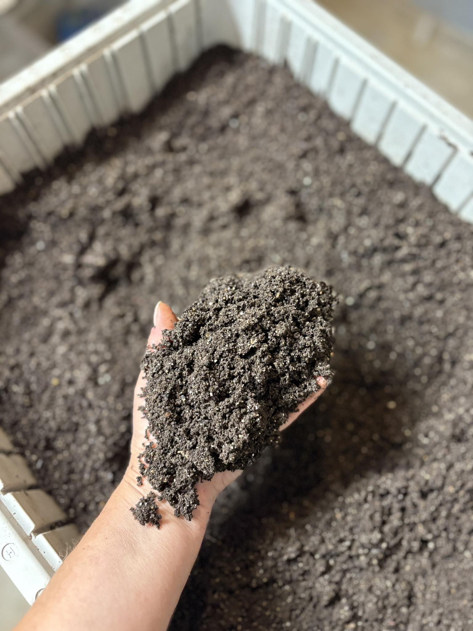 Vermicomposting Guide: How to Raise Healthy Worms & Produce Rich Castings