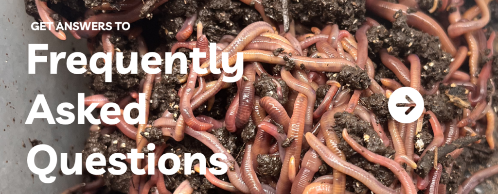 Composting Worms FAQs